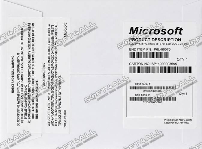 MICROSOFT SQL Server Standard 2019, 64 bit, Engleza, OEM